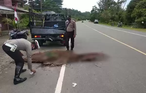 Gara Gara Telepon Genggam, Mahasiswa Ini Tewas