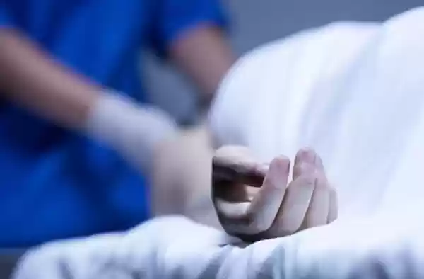 Belum Kelar Virus Corona, Kini Pemerintah China Hadapi Virus Tick Borne