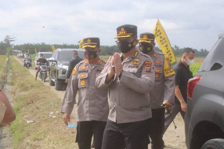Dukung Swasembada Pangan, Kapolres Sergai dampingi Irwasda Panen Raya