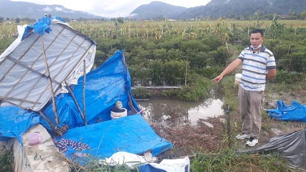 Berteduh di Pondok Sawah, Dua Pria di Taput Tewas Tersambar Petir