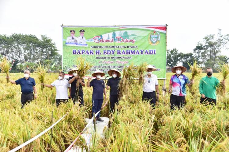 Kembangkan Benih Padi, Gubernur Edy Rahmayadi Berharap Bisa Penuhi Kebutuhan Sumut