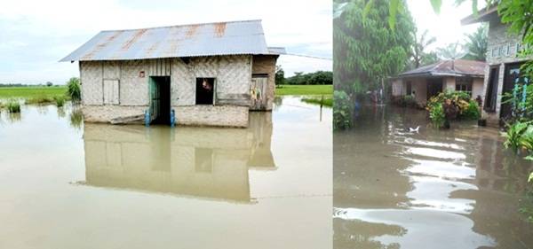 Benteng Sungai Srani Meranti Jebol,  Limpahan Air dari Kebun BSP Genangi Persawahan