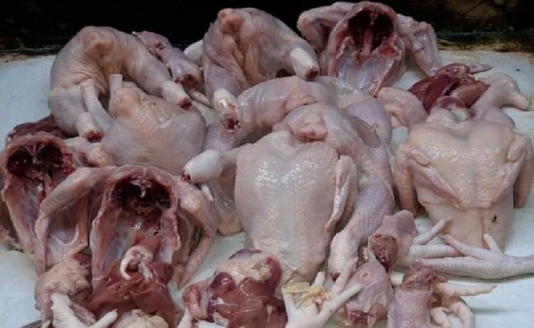 Pembeli dan Pedagang Menjerit, Harga Daging Ayam Potong Kian Mahal