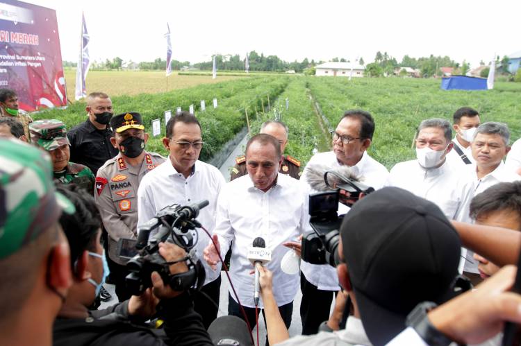 Edy Rahmayadi Sebut Produksi Cabai Sumut Surplus