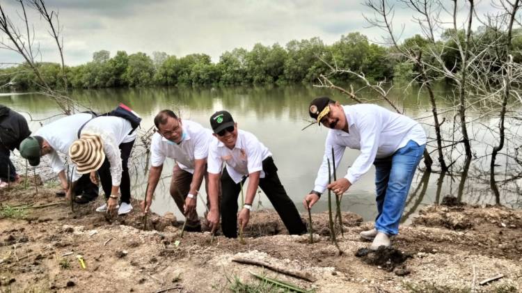 Dukung Konservasi Mangrove, PPAD Sumut Ajak Berbagai Pihak Kolaborasi