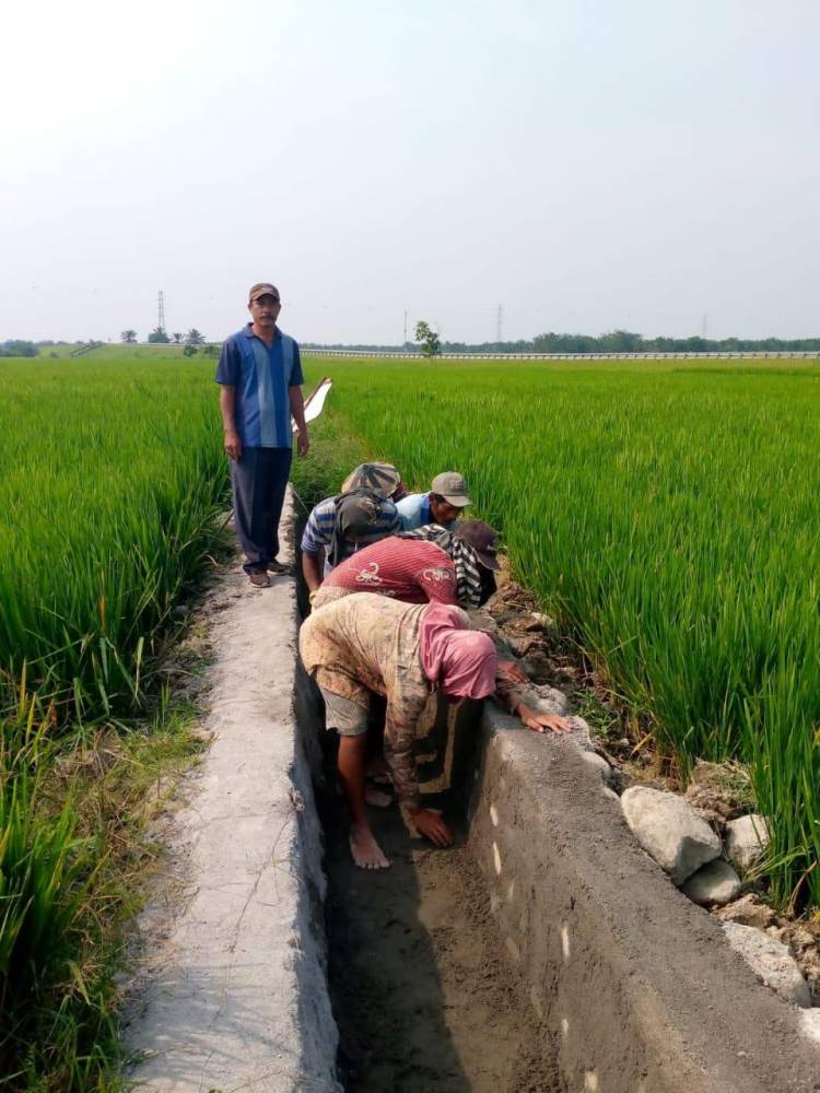 Walaupun Masih Jalani Skorsing Dari Bupati Toni Sitorus Bantu Warga Pantau Irigasi di Desa Perdamean dari Kementerian
