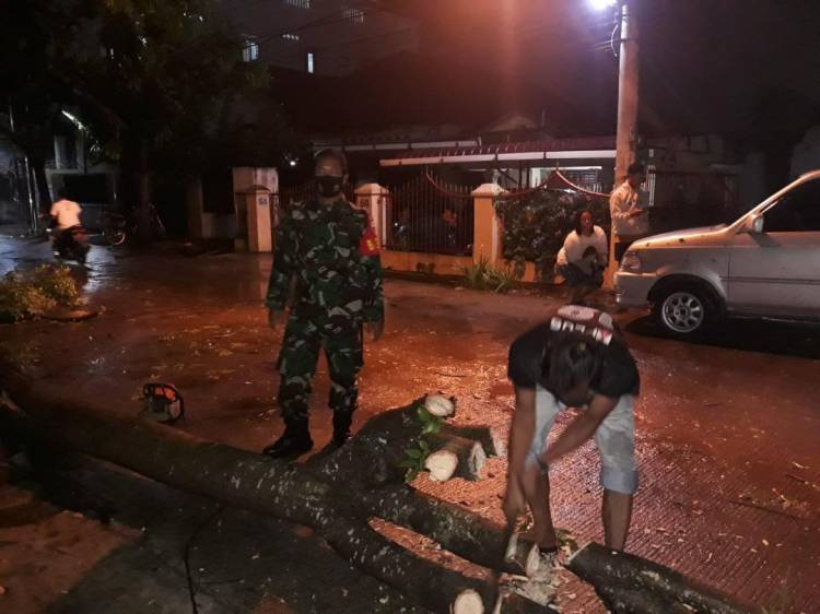 Cuaca Buruk, Pohon Timpa Mobil Di Jalan Helvetia