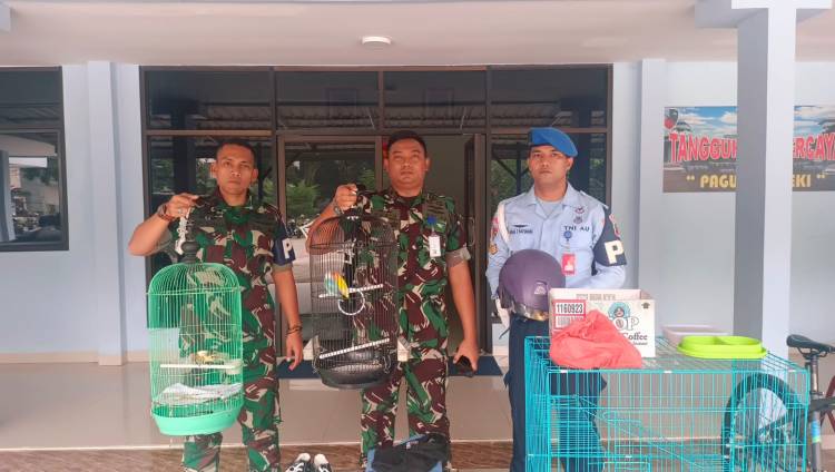 Usai Mencuri Keerogok Patroli POM Lanud Soewondo, 2 Pelaku Diamankan
