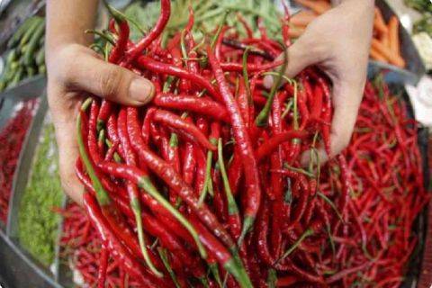 Harga Cabai di Medan Makin Pedas, Kembali Tembus Rp100 Ribu