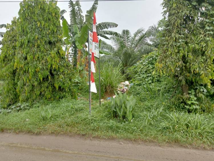 Kebun Tanjung Garbus PTPN2 Dijadikan Lokasi Buangan Sampah Rumah Tangga.
