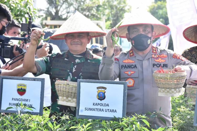 Pangdam: Kodam I/BB Siap Berkolaborasi dan Bersinergi untuk Menekan Inflasi Pangan di Sumut
