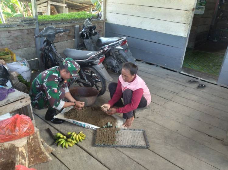 Wujudkan Ketahanan Pangan Wilayah, Babinsa Koramil 1710-07/Mapurujaya Bantu Petani Binaan Menyemai Bibit Cabe