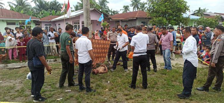 Amarah Massa Tak Terbendung, Nyawa Pelaku Pencurian "Melayang"