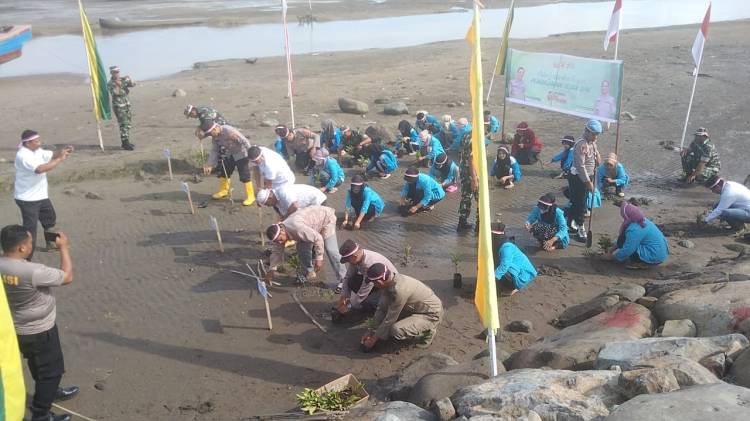 Polsek Blang Mangat Tanam 100 Batang Pohon Mangrove di Gampong Kuala