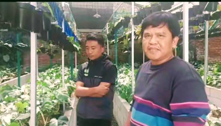 Petani Tanaman Hias Riky Subagja : KUR Antarkan Petani Jadi Makmur