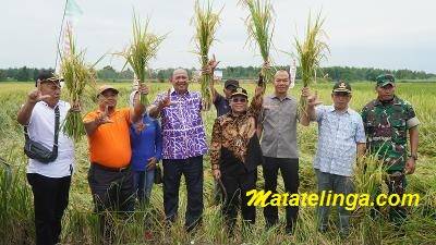Hadiri Panen Raya di Kwala Mencirim, Petani Doakan Syah Afandin Pimpin Langkat di 2024-2029