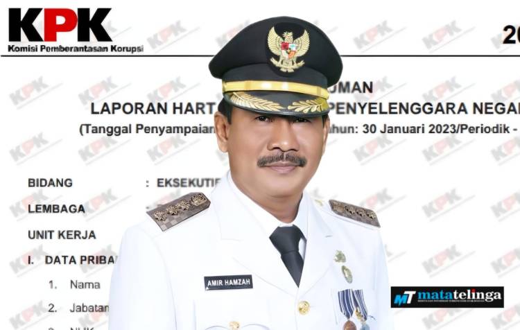 Intip Harta Kekayaan Amir Hamzah Sebelum dan Sesudah Menjabat Sebagai Walikota Binjai