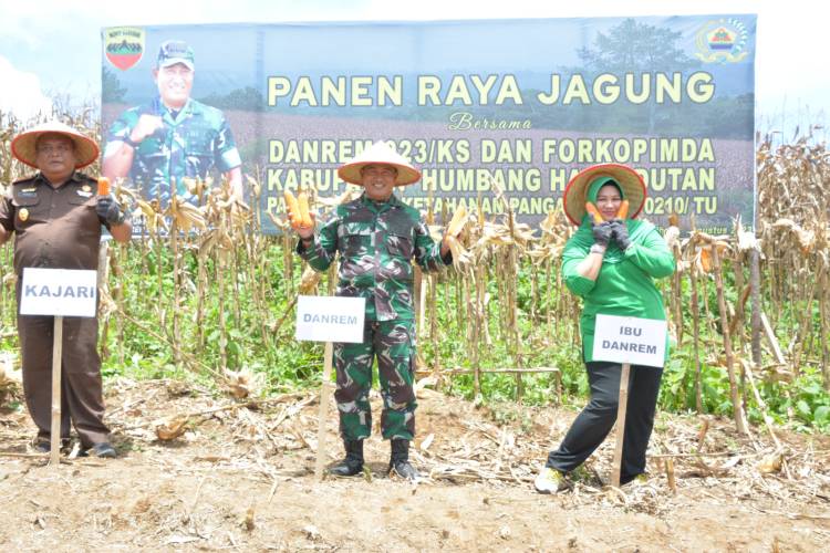 Danrem 023/KS Laksanakan Panen Raya Jagung," TNI AD Selalu bersama Rakyat".