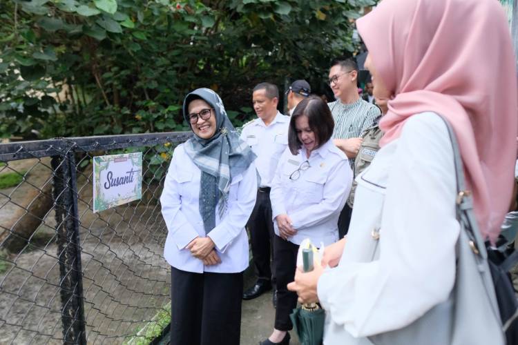 Tapir Asia Taman Hewan Siantar, Namanya Susanti