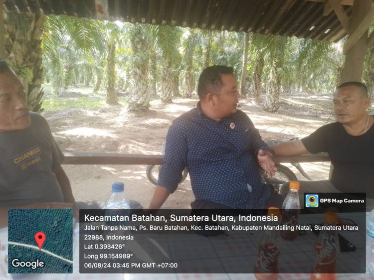 2 tahun lahan stanvas, Hasil Panen Kemana ?