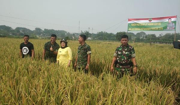 Ciptakan Ketahanan Pangan di Medan, Ini Arahan Dandim 02/01 BS Kepada Danramil dan Babinsa