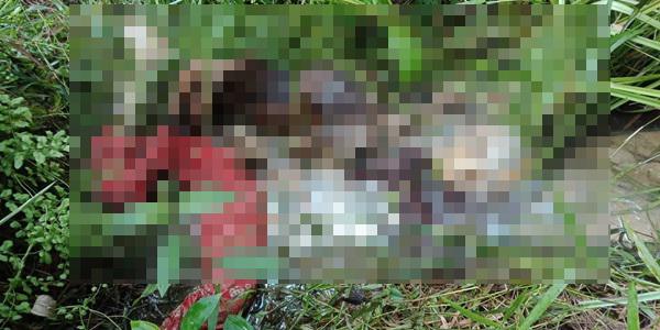 Seminggu Tidak Pulang, Wanita Tua di Langkat Ditemukan Tinggal Tulang