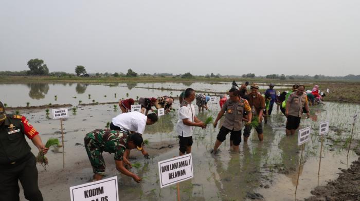 Kapolda Sumut Lakukan Pencanangan Pengelolaan Kawasan Hutan dan Bibir Pantai