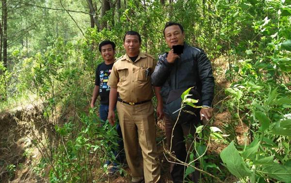 KPH-IV Balige : Lokasi Penebangan di Desa Maron Bukan Kawasan Hutan Negara
