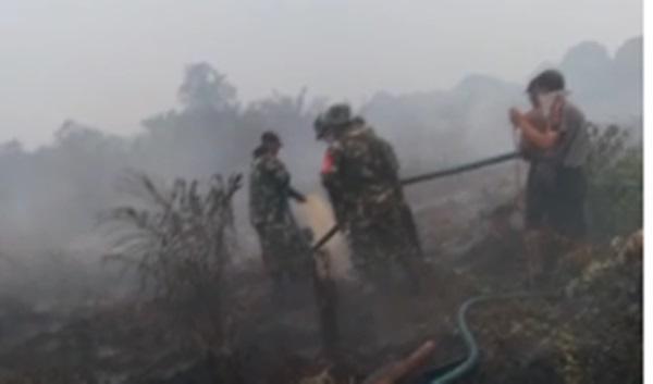 30 Hektar Lahan Gambut di Sei Kepayang Terbakar