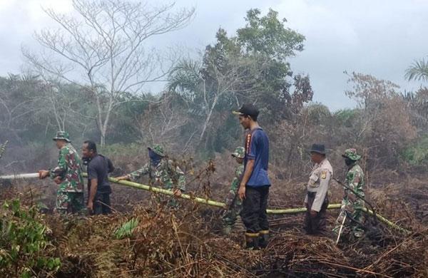 Kebakaran Hutan Bukan di Provinsi Riau Saja, Tetapi di Aceh Ada Juga Kebakaran Hutan