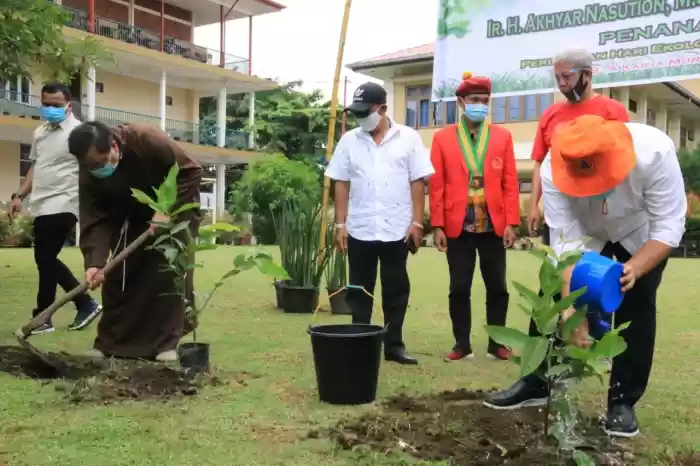 Akhyar Lakukan Penanaman Pohon, Demi Untuk Lingkungan