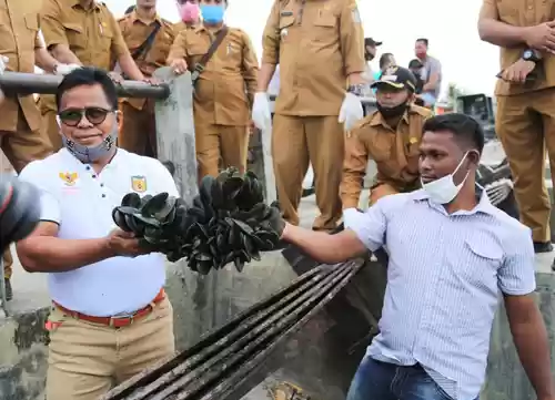 Amirullah:  Meski Covid-19, Budidaya Tiram Jangan Terhenti