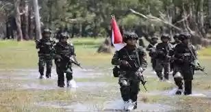 Gerombolan Separatis Teroris Papua Makin Beringas Menjelang Sidang Umum PBB