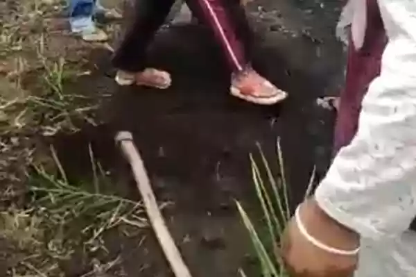 Astaga....Kenapa Tega  Bayi Baru Lahir dikubur Hidup - Hidup 