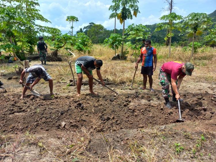 TNI dan Masyarakat Manfaatkan Lahan Kosong Menanam Sayuran di Papua