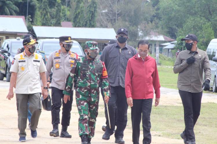 Presiden RI di Damping Pangdam ke Tanam Mangrove