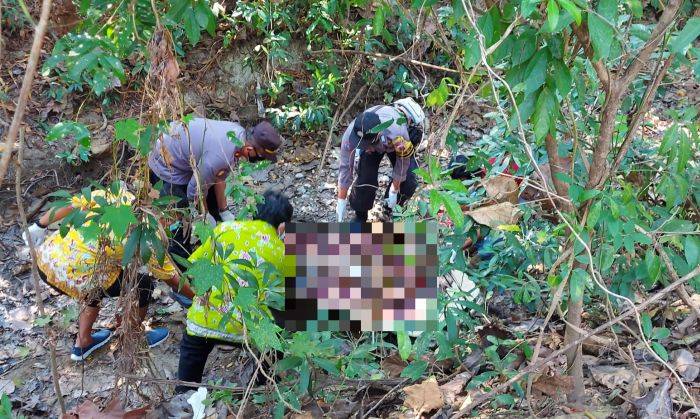 Berada Ditengah Hutan, Wanita Tanpa Busana Ditemukan Tewas