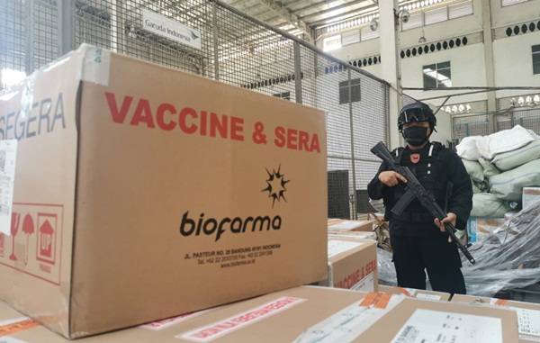 173 Ribu Dosis Vaksin Coronovac Tiba di Sumut