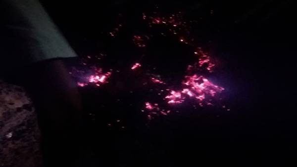 Emak- emak di Gudang Arang Belawan Ngamuk dan Bakar 4 Mesin Judi Jackpot