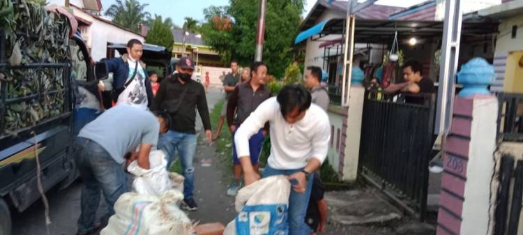 Polda Sumut Sita 71 Kg Ganja Ditimbun Pisang
