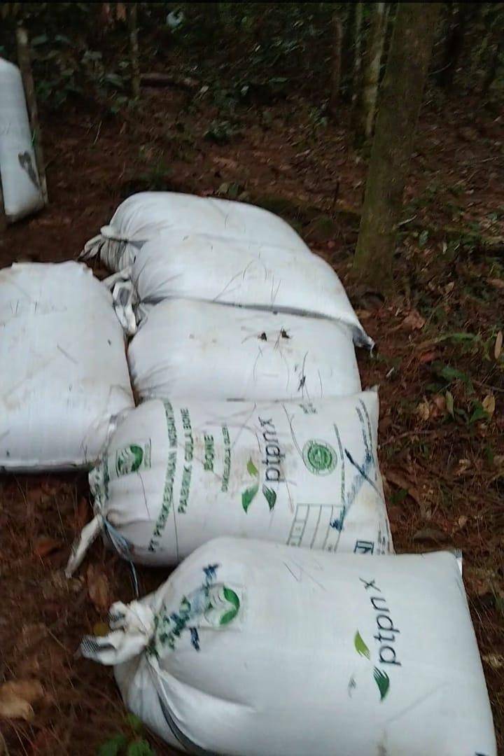 Polresta Deli Serdang Di Buat Geram Incar Penderes Tusam di Gunung Meriah