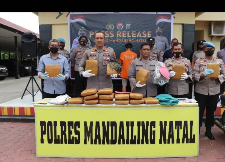 Polres Madina Bongkar Jaringan Sindikat Ganja