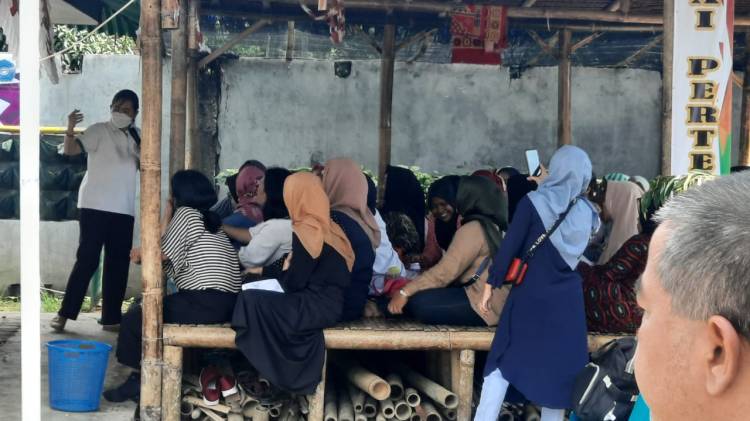 Dinas Lingkungan Hidup Medan  Sosialisasi Pembudidayaan Maggot