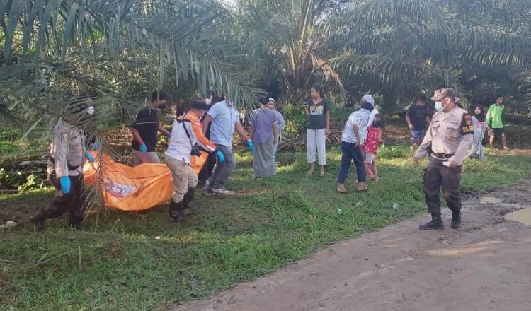 Nek Sampah Di Temukan Membusuk Di Bawah Pohon Sawit