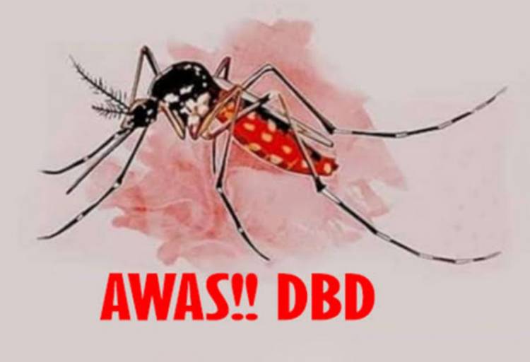 Kasus DBD Meningkat, Dinkes Himbau Warga Jaga Kebersihan Lingkungan