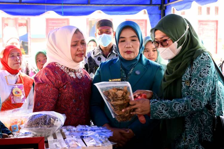 Nawal Lubis Minta PKK Perluas Jaringan Kemitraan untuk Perlancar Kegiatan