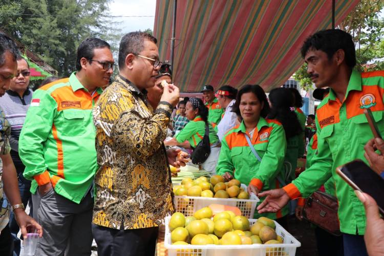 Perayaan Hari Tani di Kabupaten Toba Meriah