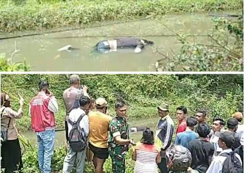 Masyarakat Gempar, Sesosok Mayat Ditemukan Di Areal Kebun PT Perkebunan Nusantara Berangir