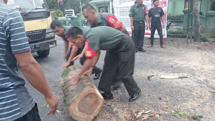 Sigap,Koramil Siabu Singkirkan Pohon Yang tumbang.