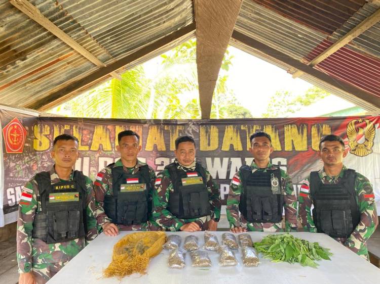 Satgas Yonif 122/TS Pos Waris Amankan 465 Gram Paket Ganja di Perbatasan RI-PNG